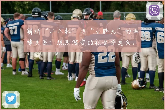 解析“二八杠”与“小牌九”的血缘关系：规则演变的社会学意义。（追溯“二八杠”与“小牌九”的谱系关联：规则变迁的社会学意涵）