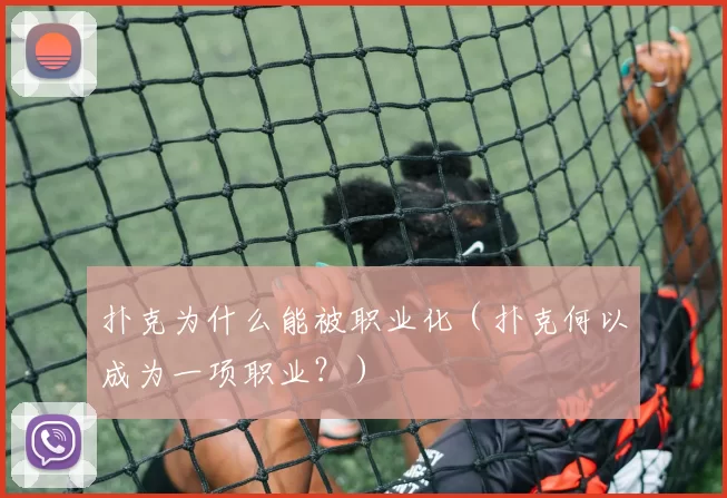 扑克为什么能被职业化（扑克何以成为一项职业？）