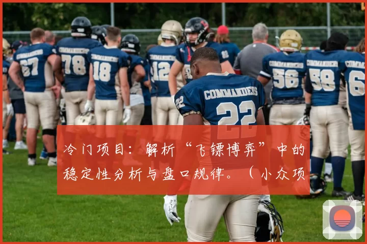 冷门项目：解析“飞镖博弈”中的稳定性分析与盘口规律。（小众项目：剖析“飞镖博弈”的稳定性与盘口逻辑）