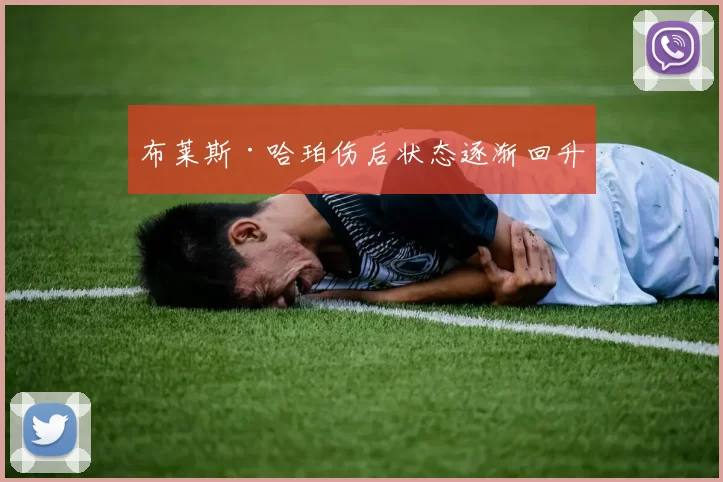 布莱斯·哈珀伤后状态逐渐回升