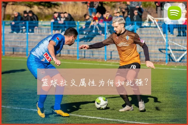 篮球社交属性为何如此强？