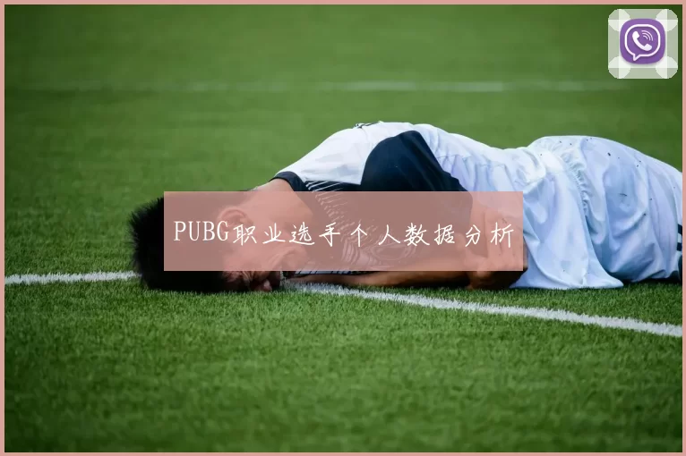 PUBG职业选手个人数据分析
