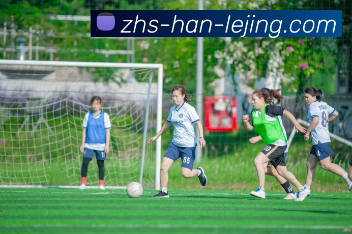 乐竟体育平台生态图